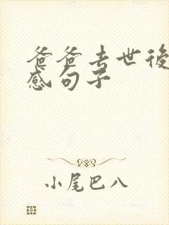 爸爸去世后的伤感句子