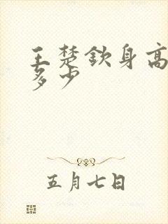 王楚钦身高体重多少