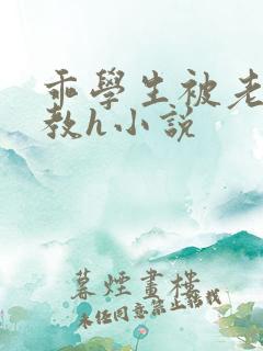 乖学生被老师调教h小说