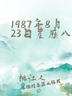 1987年8月23日农历八字