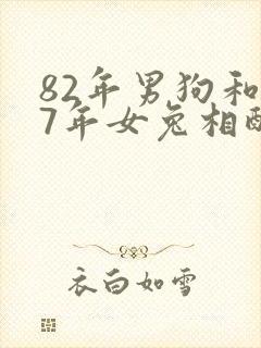 82年男狗和87年女兔相配婚姻如何