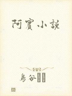 阿宾小说