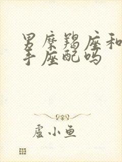 男摩羯座和女射手座配吗