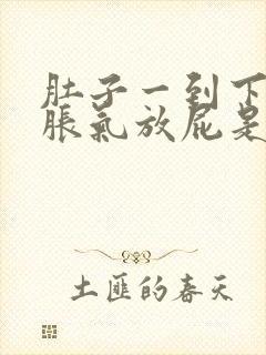 肚子一到下午就胀气放屁是为什么