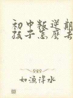 初中叛逆期的男孩子怎么去引导