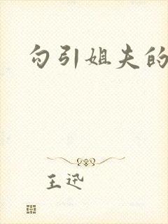 勾引姐夫的小说