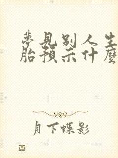 梦见别人生双胞胎预示什么