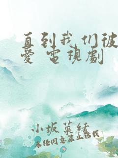 直到我们彼此相爱 电视剧