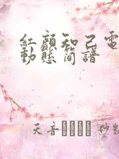 红颜知己电吹管动态简谱