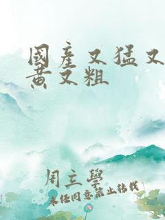 国产又猛又爽又黄又粗