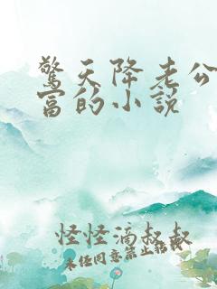 惊天降老公是首富的小说