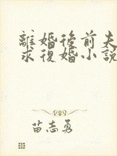 离婚后前夫哭着求复婚小说阅读免费