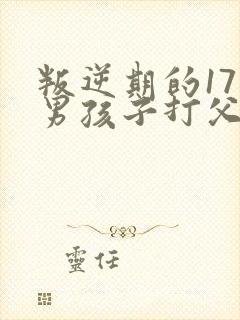 叛逆期的17岁男孩子打父母怎么办