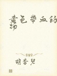 黄色带血的分泌物