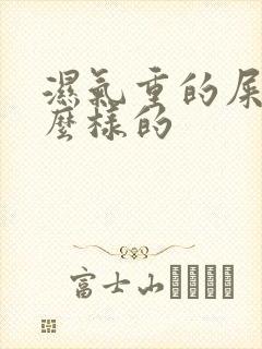 湿气重的屎是什么样的