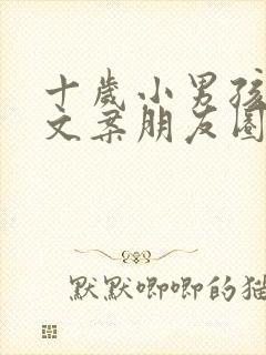 十岁小男孩生日文案朋友圈