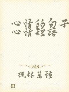 心情的句子说说心情短语