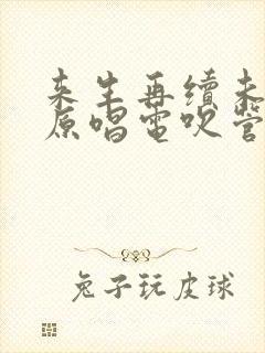 来生再续未了情原唱电吹管