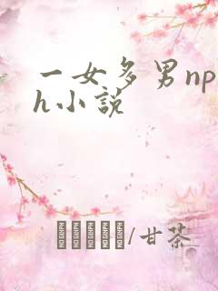 一女多男np高h小说