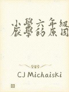 小学六年级学生厌学的原因