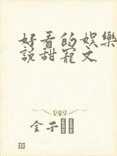 好看的娱乐圈小说甜宠文