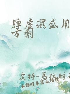 脾虚湿盛用什么方剂