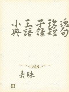 小王子玫瑰花经典语录短句