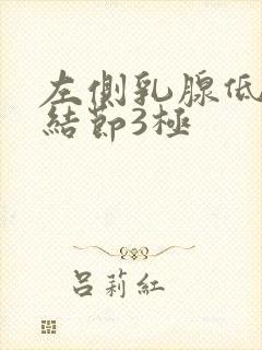 左侧乳腺低回声结节3极