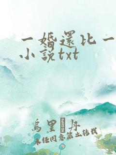 一婚还比一婚高小说txt