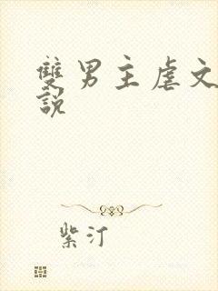 双男主虐文 小说