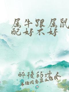 属牛跟属鼠的婚配好不好