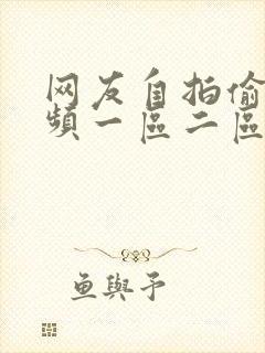 网友自拍偷拍视频一区二区