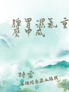 脾胃湿气重吃什么中成