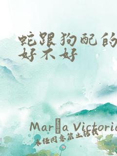 蛇跟狗配的婚姻好不好