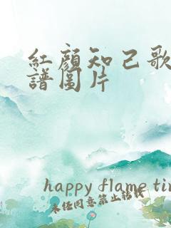 红颜知己歌谱简谱图片