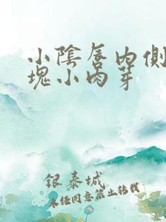 小阴唇内侧有一块小肉芽