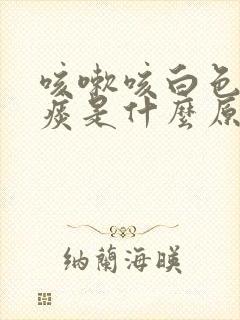 咳嗽咳白色泡沫痰是什么原因