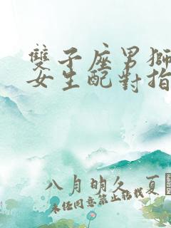 双子座男狮子座女生配对指数