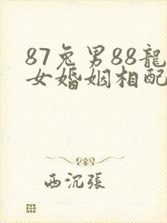 87兔男88龙女婚姻相配好不好