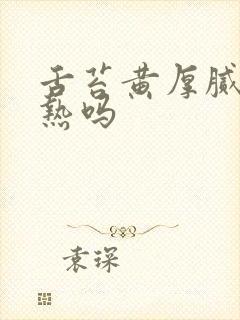 舌苔黄厚腻是湿热吗