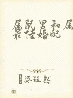 属鼠男和属龙女最佳婚配