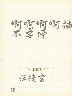 啊啊啊啊插进去不要停