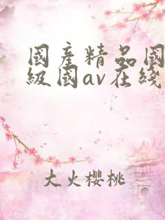 国产精品国产三级国av在线观看