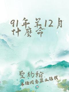 91年羊12月什么命