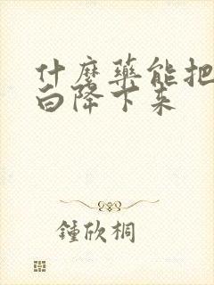 什么药能把尿蛋白降下来