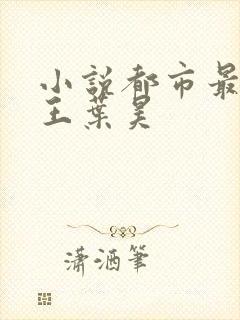 小说都市最强兵王叶昊