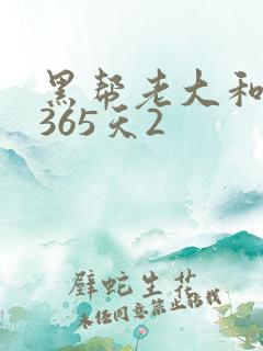 黑帮老大和我的365天2