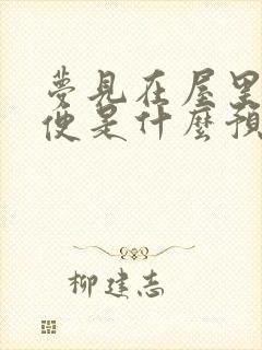 梦见在屋里拉大便是什么预兆