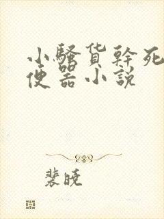 小骚货干死你肉便器小说