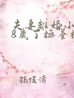 夫妻离婚小孩18岁了抚养权怎么判